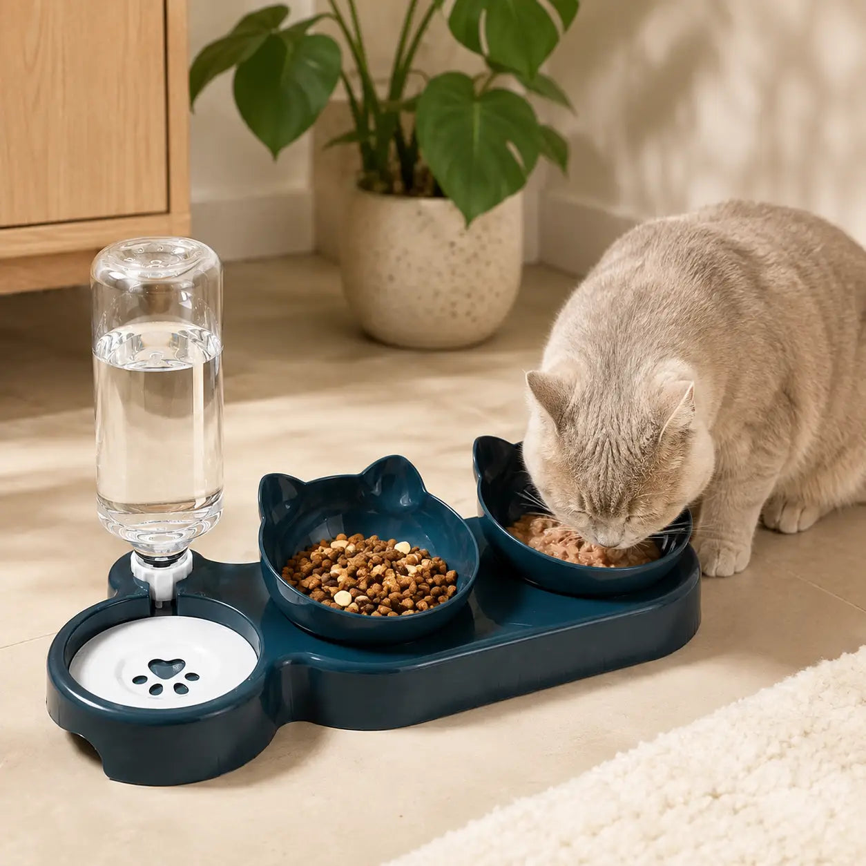 A cat is eating from a dual-bowl pet feeder placed on a dark teal floor mat next to a water bottle feeder. The scene is set in a warm, sunlit room with a potted plant and wooden furniture in the background.