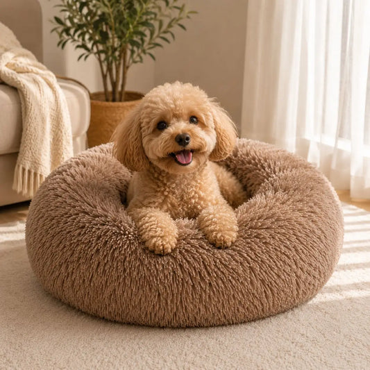 Small curly-haired apricot dog resting comfortably in a plush brown donut pet bed with thick raised cushioned sides and a soft shaggy texture, placed on a cream rug beside a sofa and potted plant in a bright living room with natural sunlight filtering through sheer curtains.