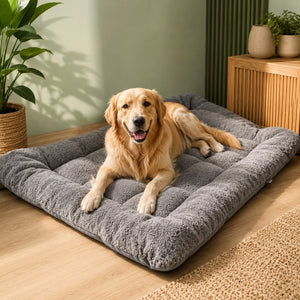 Pet Comfort